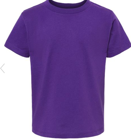 BELLA + CANVAS - Youth CVC Jersey Tee - 3001TCVC Team Purple