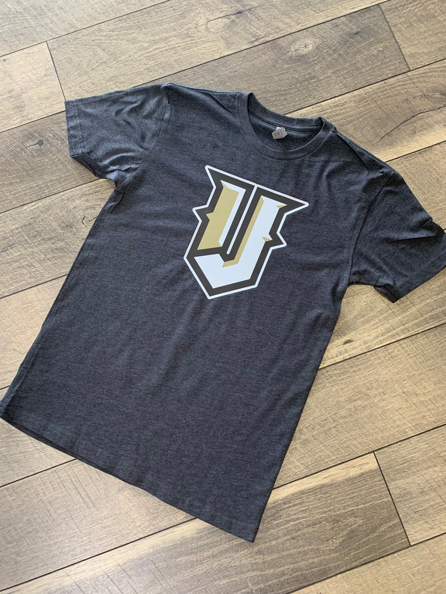 Jasper Vikings Logo on Charcoal