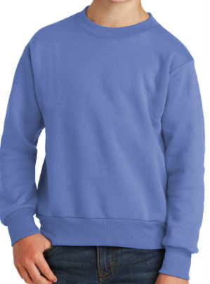 PC90Y Port & Company® Youth Core Fleece Crewneck Sweatshirt Carolina Blue