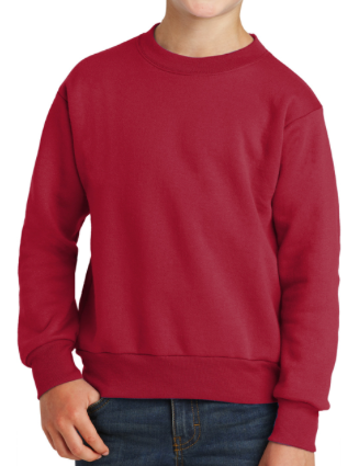 PC90Y Port & Company® Youth Core Fleece Crewneck Sweatshirt Red