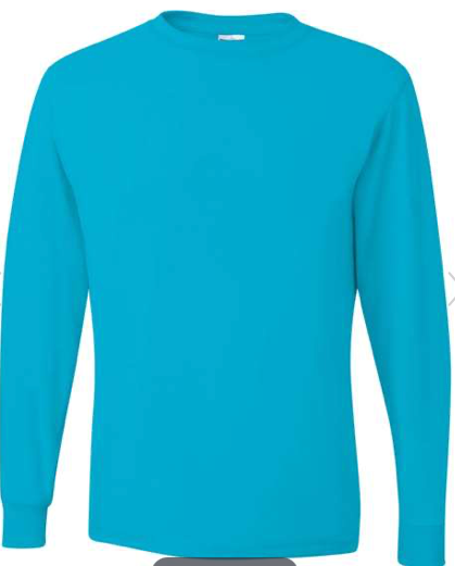 Dri-Power® Long Sleeve 50/50 T-Shirt - 29LSR California Blue