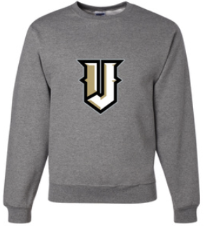 Vikings Little League Crewneck Personalized Back